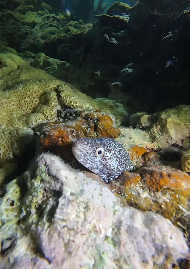 Key West: Scuba Diving Refresher Course - The Sum Up