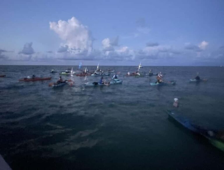 Key West: Sunrise Kayak Tour - What to Expect from Your Kayaking Experience