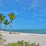 Key West: Sunset Sail Full Bar, Live Music & Dinner & Early Morning Snorkeling - What Travelers Can Expect