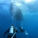 Key West: Vandenberg Wreck Dive - The Experience of Exploring the Wreck