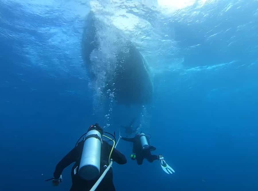 Key West: Vandenberg Wreck Dive - The Experience of Exploring the Wreck