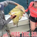 Key Wests Ultimate Inshore Shark Fishing Experience - Who Should Consider This Tour?