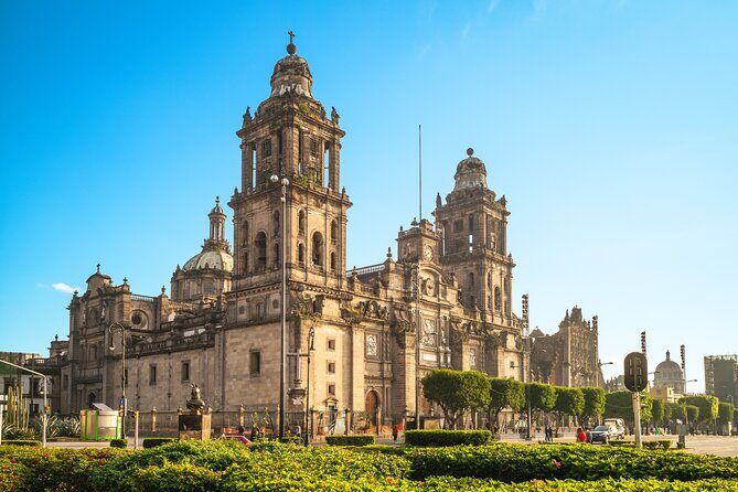 Kid-Friendly Mexico City Private Guided Tour for Families - Authenticity and Real-World Insights from Reviews