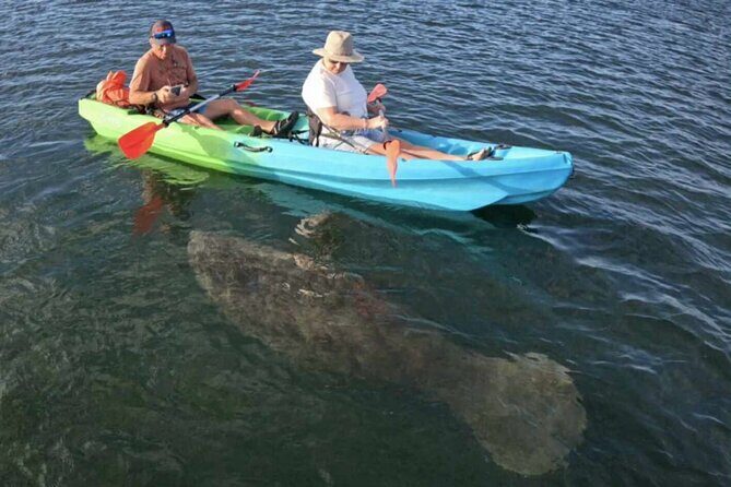 King Spring Sunset Sit on Top Kayak with Manatees Tour - Meeting Point and Logistics