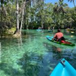 Kings Bay, Crystal River: Gentle Sunrise Manatee Kayak Tour - What Does It All Cost and Is It Worth It?