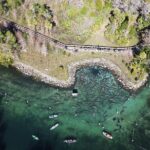 Kings Bay Eco Tours - Who Should Consider This Tour?