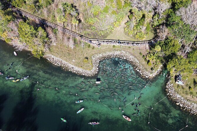 Kings Bay Eco Tours - Who Should Consider This Tour?