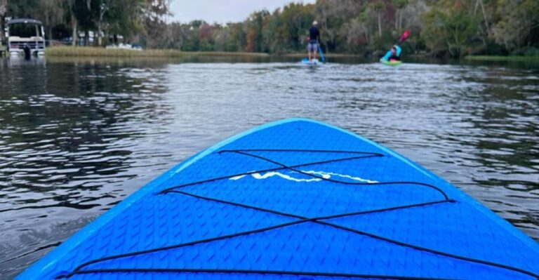 Kings Bay/Three Sisters: Self Guided Tour- ClearBottom Kayak - What Reviews Tell Us