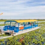 Kissimmee: 1 Hour Florida Everglades Pontoon Boat Tour - Practical Tips for Your Trip