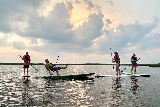 Kitty Hawk Maritime Forrest and Marsh Tour - Who This Tour Is Best For