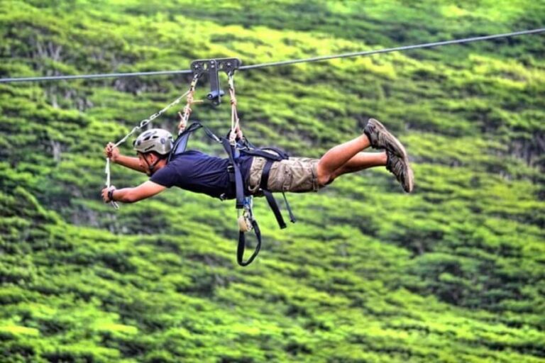Koloa: Kauais Longest 8-Line Zipline Tour - The Experience Itself: What to Expect