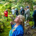 Kona: Cloud Forest, Coffee Farm, and Turtle Beach Tour - An In-Depth Look at the Kona Cloud Forest, Coffee Farm, and Turtle Beach Tour