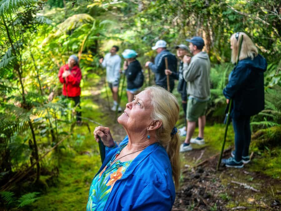 Kona: Cloud Forest, Coffee Farm, and Turtle Beach Tour - An In-Depth Look at the Kona Cloud Forest, Coffee Farm, and Turtle Beach Tour
