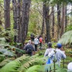 Kona Cloud Forest Sanctuary Pantropical Tour (1.5 hrs) - Who Is This Tour Best For?