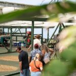 Kona Coffee Farm Tour - Practical Details That Matter