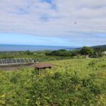 Kona Coffee Farm Tour from Tree to Tasting Room - How Does It Compare in Value?