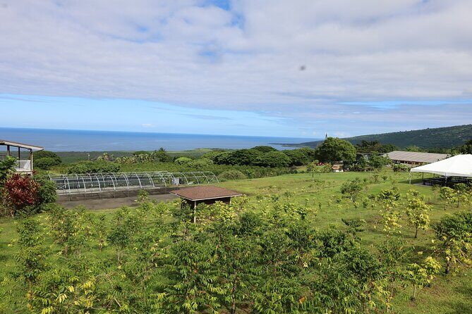 Kona Coffee Farm Tour from Tree to Tasting Room - How Does It Compare in Value?