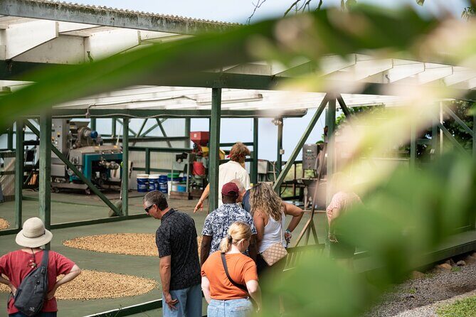 Kona Coffee Farm Tour - Practical Details That Matter