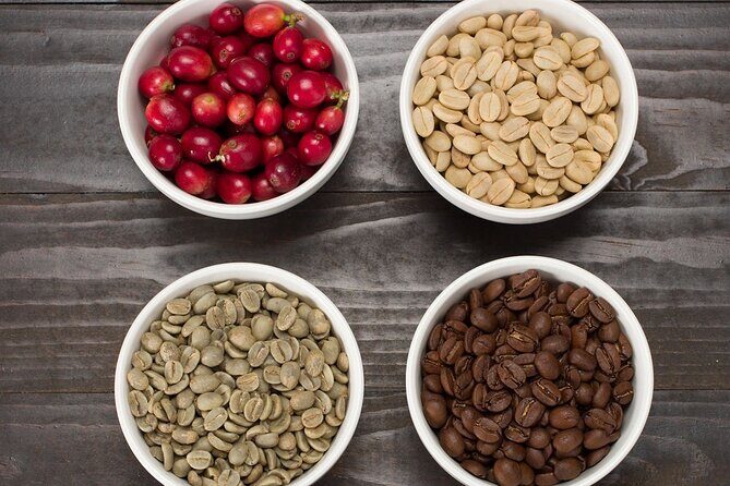 Kona Coffee Tasting: A Farm to Cup Experience - What to Expect During the Tour