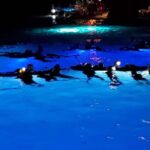 Kona: Manta Ray Night Snorkel Adventure - What Sets This Tour Apart?