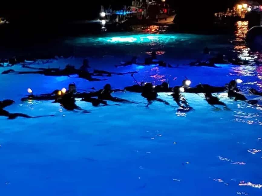 Kona: Manta Ray Night Snorkel Adventure - What Sets This Tour Apart?