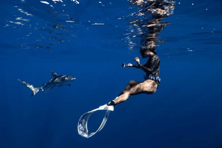 Kona: Small Group Ocean Safari + Snorkel - Who Will Love This Tour?