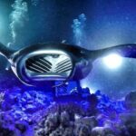 Kona Town Manta Sunset Snorkel - The Experience: What to Expect