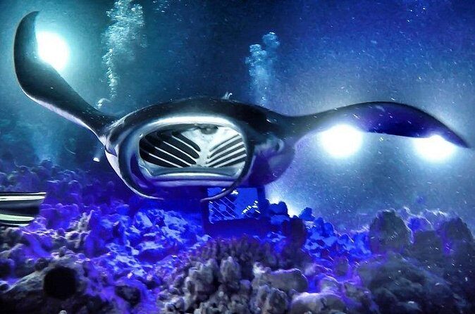 Kona Town Manta Sunset Snorkel - The Experience: What to Expect