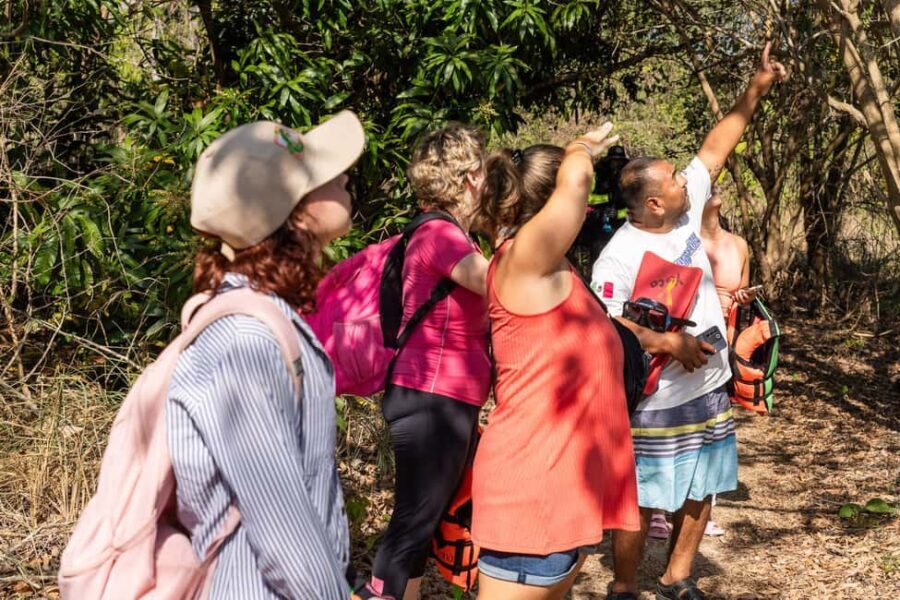 La Crucecita: Hiking and Snorkling/ Drinks and Fruits - The Value of This Tour
