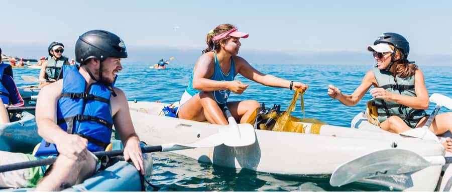 La Jolla: Sea Cave Kayaking Tour with Guide - Authenticity and Reviews