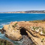 La Jolla - The Jewel of San Diego - Guided Walking Tour - What You Can Expect on the Tour