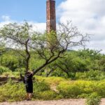 La Paz City Tour - Who Should Take This Tour?