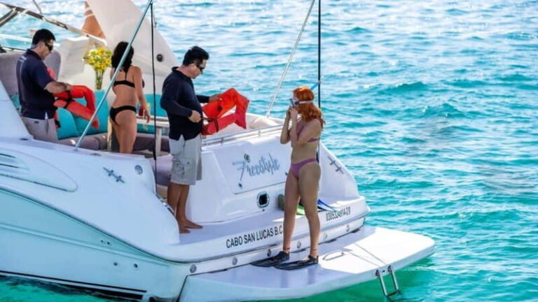 La Paz: Day Cruise & Snorkelling (w/sea lions) Food & Drinks - The Snorkeling Experience: Marine Life and Marine Environment