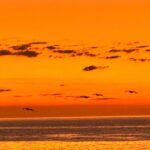 La Paz Mexico Sunset Cruise with Local Guides : small group - Practical Tips for Your Sunset Cruise