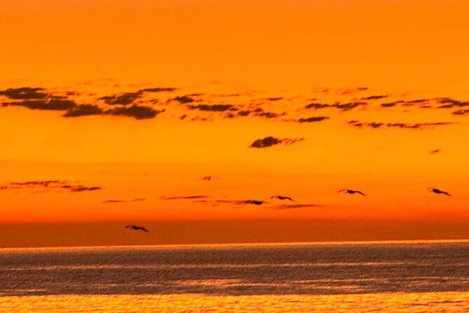 La Paz Mexico Sunset Cruise with Local Guides : small group - Practical Tips for Your Sunset Cruise