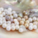 La Paz: Pearl Farm Experience and shop - Frequently Asked Questions (FAQs)