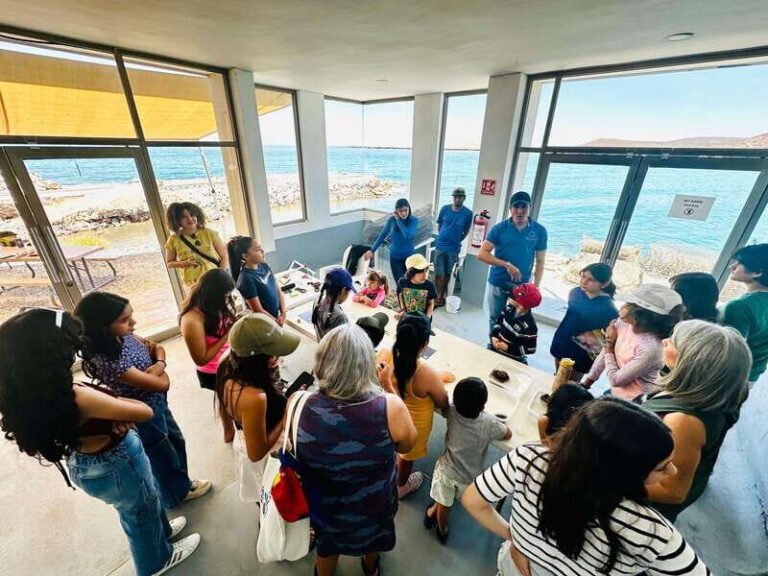 La Paz: Pearl Farm Experience and shop - Final Thoughts: Is the Pearl Farm Tour Worth It?