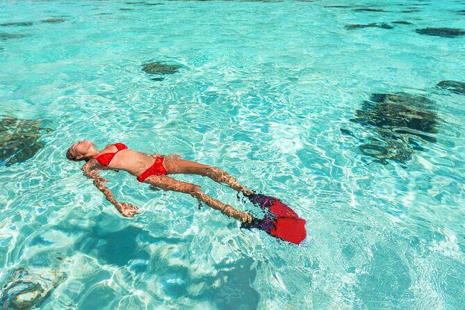 La Paz World class Snorkeling in Balandras Hidden Beaches - What Makes This Tour Stand Out?