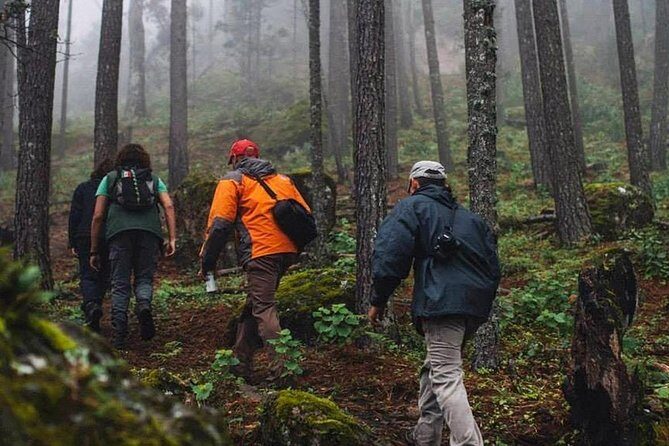 La Pirámide Park // WALK AND DISCOVER THE PARK - An In-Depth Look at La Pirámide Park