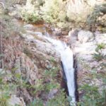 La Plata Mountains - Half Day Tour - Who Would Love This Tour?