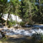 Lacandon Jungle Adventure and Bonampak Archaelogical Site - An In-Depth Look at the Lacandon Jungle and Bonampak Tour