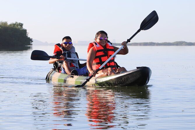 Lagoon Mangrove Tour, Kayaking and Sightseeing from Cancun - Who It’s Best For