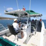Lahaina: Humpback Whale Watching Cruise - Why This Tour Stands Out