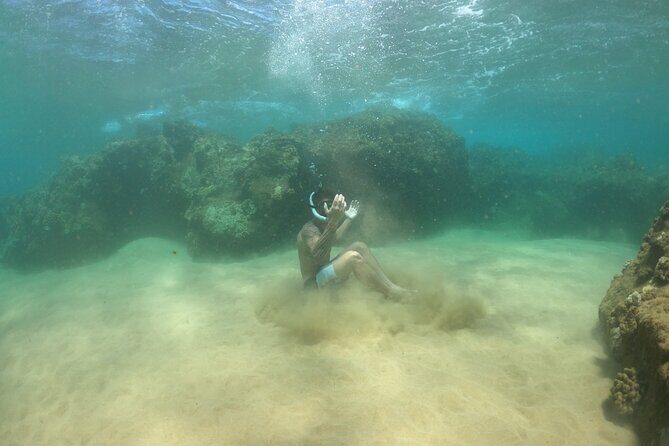 Lahaina Reef Snorkeling Adventure in Maui - Who Should Consider This Tour?