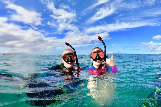 Lahaina Small Group Snorkeling Adventure - Why This Tour Is a Great Choice