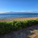 Lahaina: Small-Group Swim Lessons - The Classroom Setting and Group Dynamics