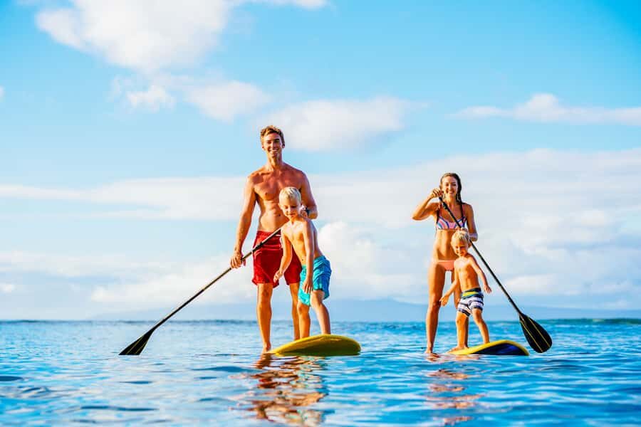 Lahaina: Stand Up Paddleboard Lesson - Who Will Love This Experience?