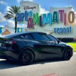 Lake Buena Vista and WDW to Orlando International Airport MCO - Who Will Love This Service?