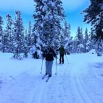 Lake Louise: Cross Country Skiing Lesson with Tour - The Itinerary in Detail