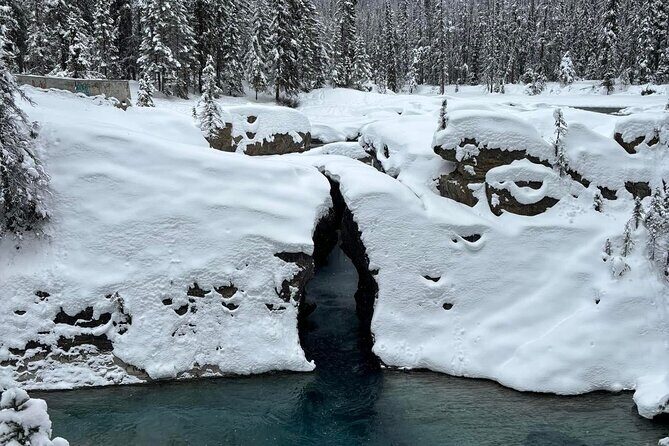 Lake Louise, Moraine Lake, Emerald Lake and Johnston Canyon Tour - The Guides and Group Size